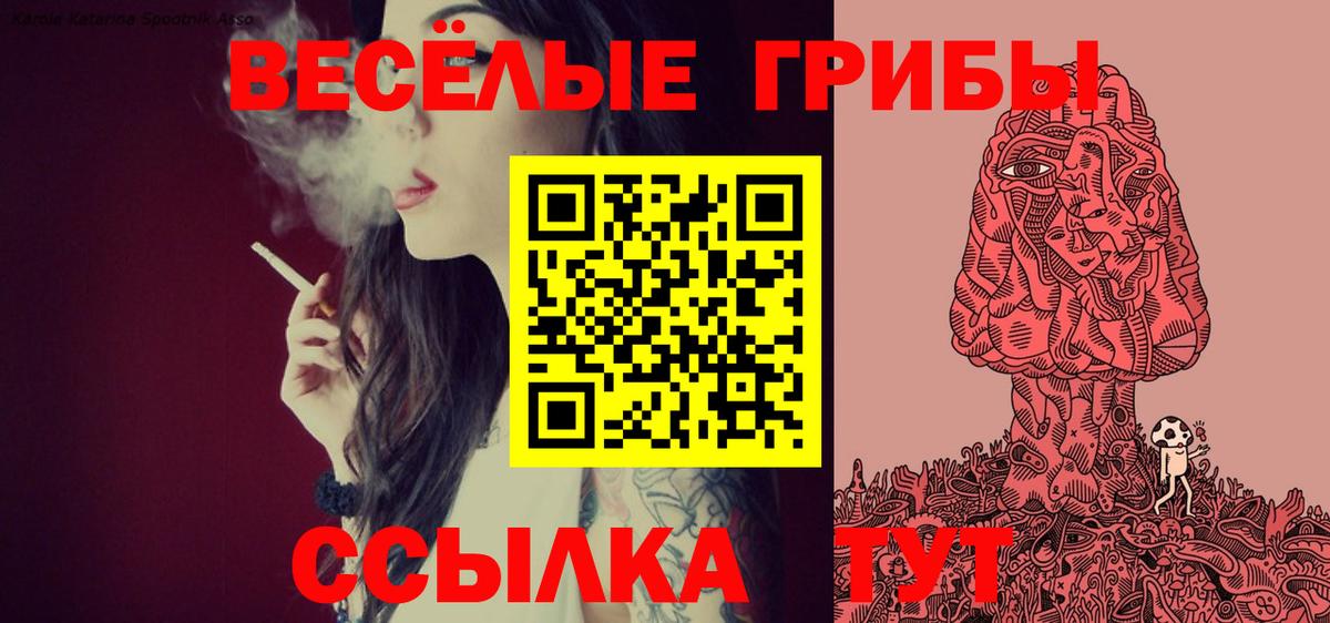 цены наркотик  Псилоцибиновые грибы мицелий  Вход с VPN  Псилоцибиновые грибы прущие грибы  Усинск 
